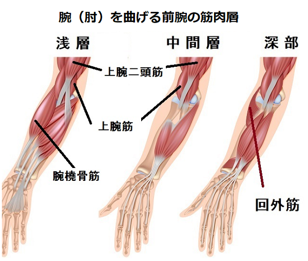 肘が痛いの原因と解消代替医療