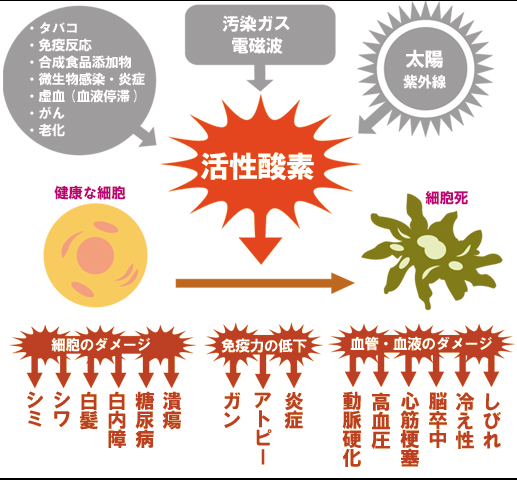 活性酸素が発生する要因と起こる病気